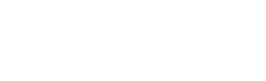 $ 490